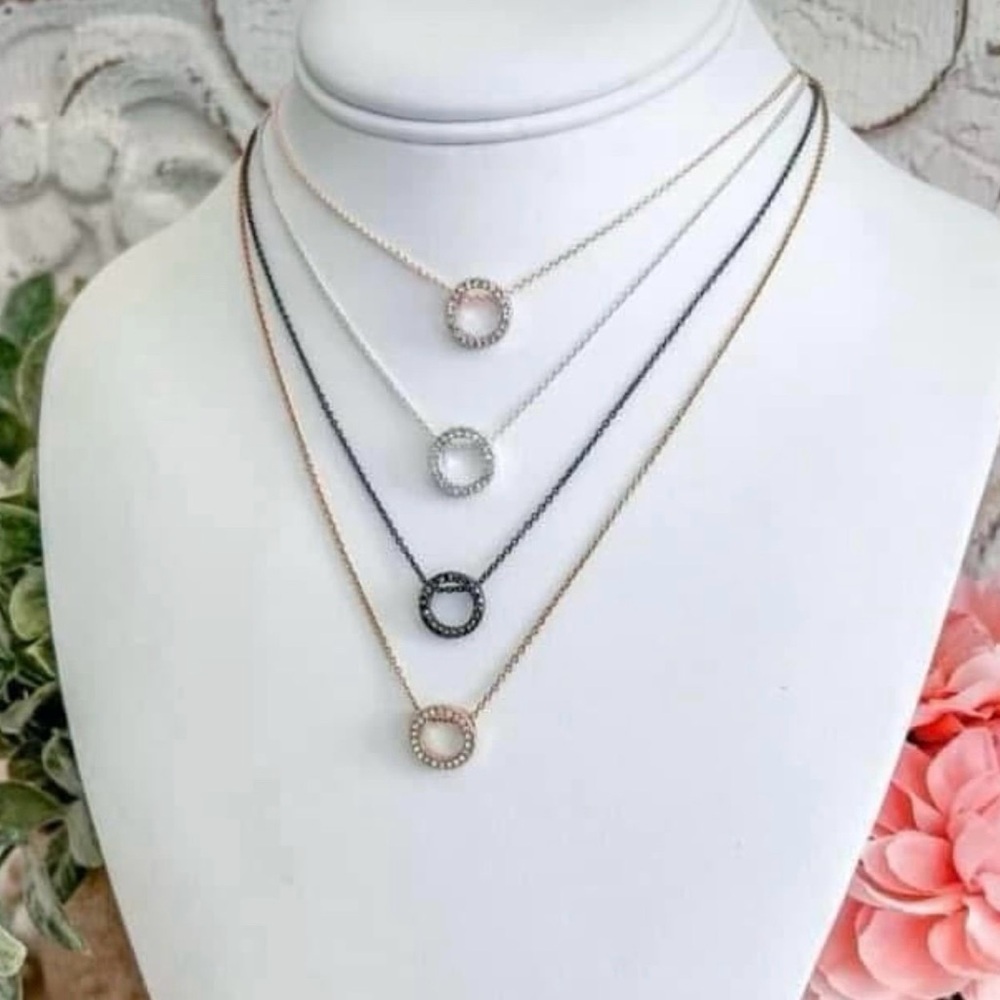 Park Lane “Roo” Necklace in Silver! BNIB!!